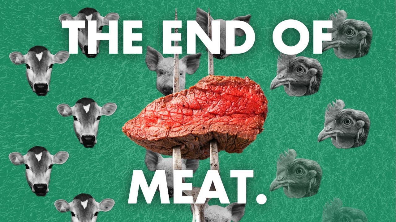 Introduction à l'Agriculture Moderne en Afrique