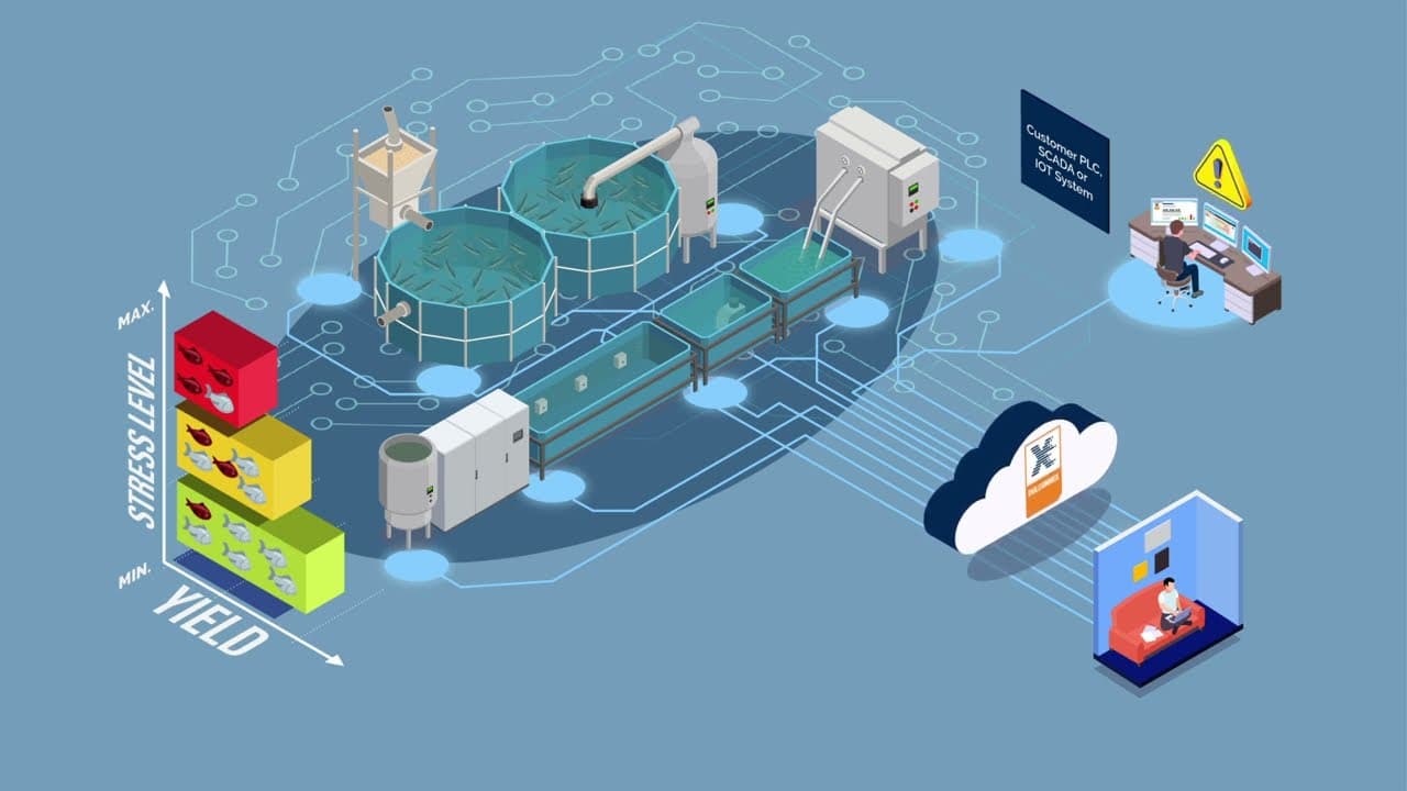 Aquaculture Durable: Élevage de Poissons et Gestion de l'Eau